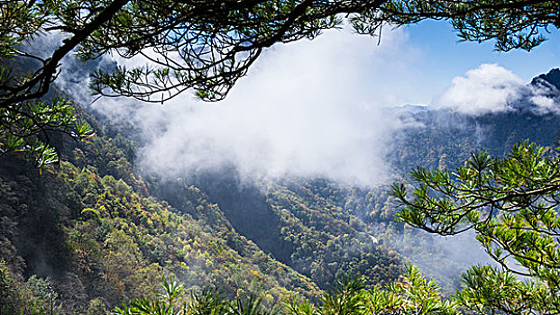 神农架林区天燕风景区初秋