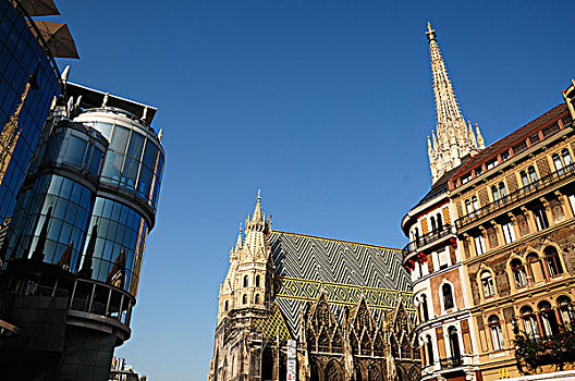 现代,传统建筑,房子,圣斯特凡大教堂,大教堂,14世纪,维也纳,奥地利,欧洲