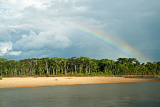 堤岸,彩虹,自然保护区,区域,秘鲁,南美