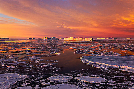 巨大,冰山,日出,南极