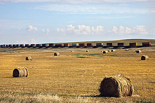 大捆,干草,土地,货运列车,远景