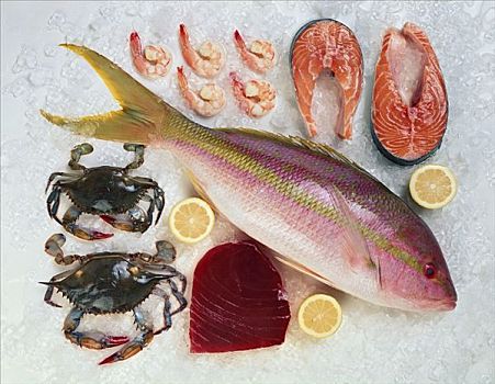 种类,鱼肉,贝类,冰