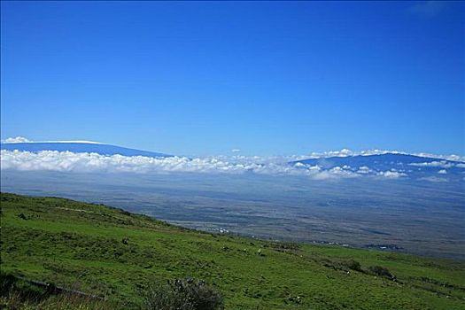 夏威夷,夏威夷大岛,北柯哈拉,莫纳克亚,绿色,山坡