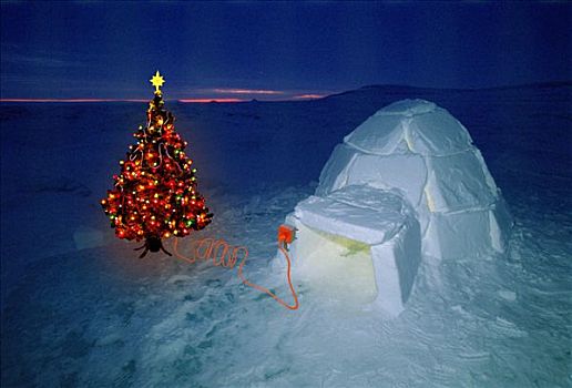 圣诞树,圆顶小屋,北冰洋,合成效果,冬天,景色