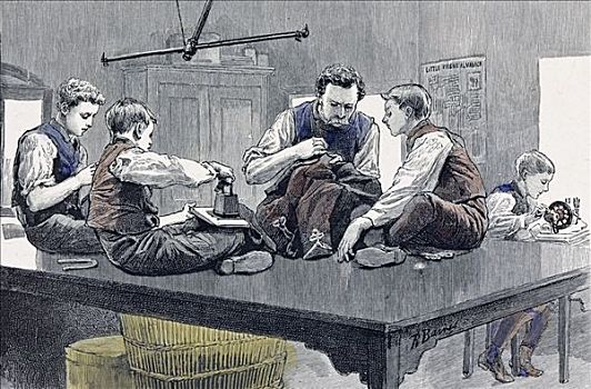裁缝,店,家,男孩,肯特郡,1891年