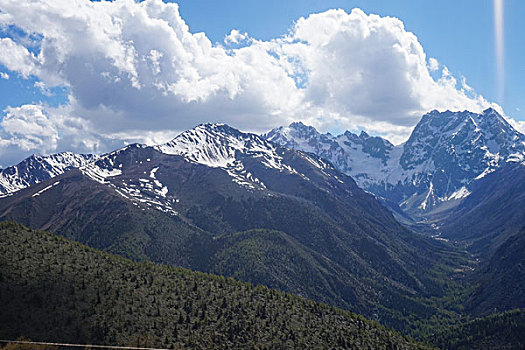 云南白马雪山