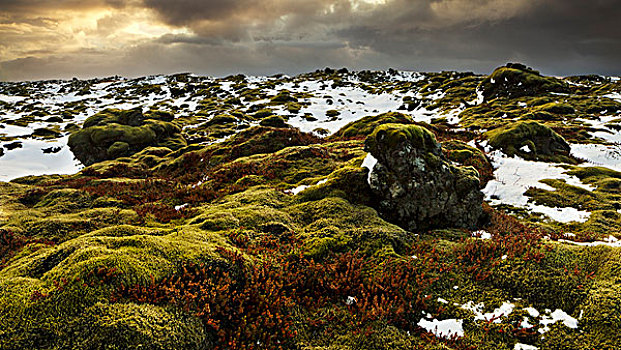 冰岛,火山岩,火山,区域,彩色,苔藓,云,气氛,黄色,绿色,红色