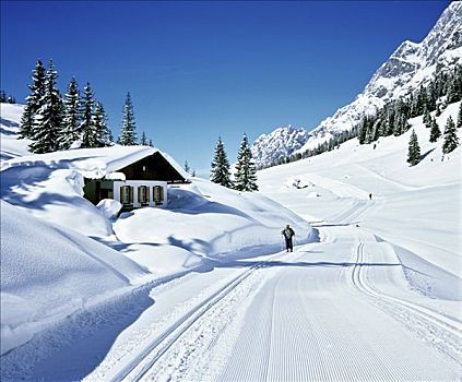 房子,初雪,越野滑雪,小路,萨尔茨堡,奥地利