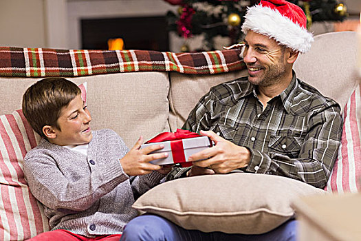 儿子,给,父亲,圣诞礼物,沙发