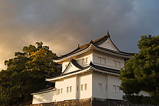 日本,城堡,落日余晖,京都