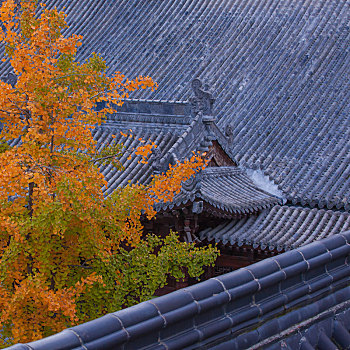 西安古观音禅寺的秋景