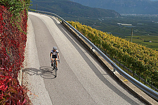 自行车,竞速,葡萄酒,道路,湖,南蒂罗尔,意大利,欧洲