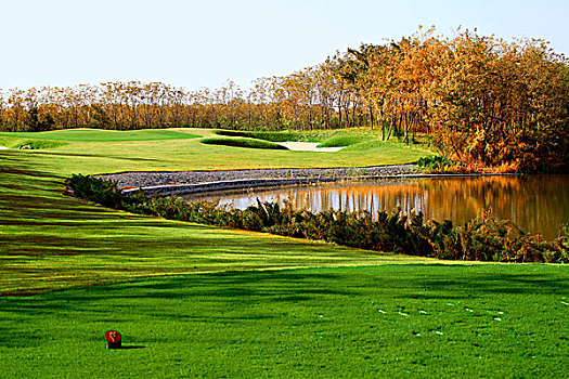 高尔夫球场太阳湖泊图片