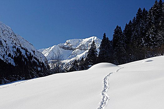 深,冬天,背影,阿尔卑斯山,区域,瑞士,欧洲