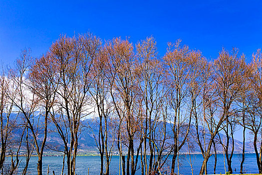 湖,风景,息州,大理,云南