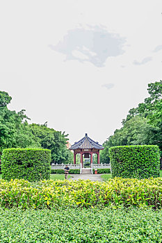 广州中山大学