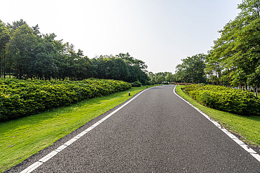 公园绿地与道路