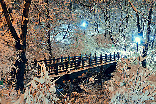 中央公园,冬天,桥,曼哈顿中城,纽约