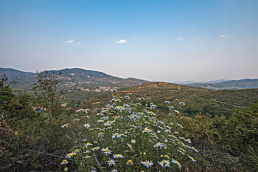 山东沂蒙山区的山村果园