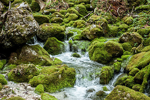 溪流,石头,遮盖,绿色,苔藓