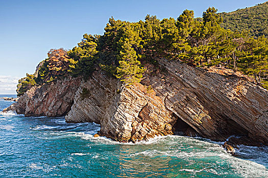 沿岸,石头,松树,亚德里亚海,黑山