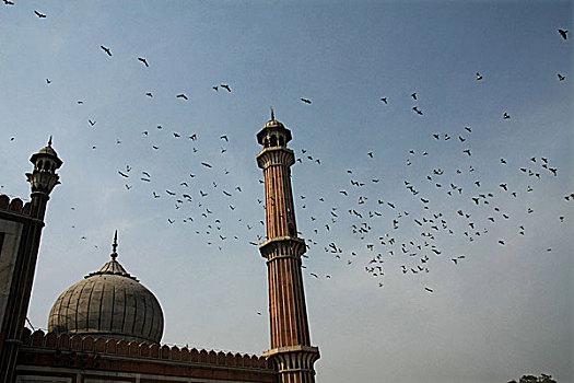清真寺,卧,起点,热闹街道,老德里,印度,莫卧尔王朝,帝王,沙阿,德里,二月