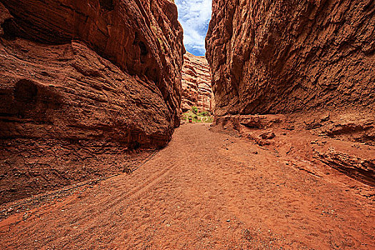 道路,草,山谷,红色,砂岩