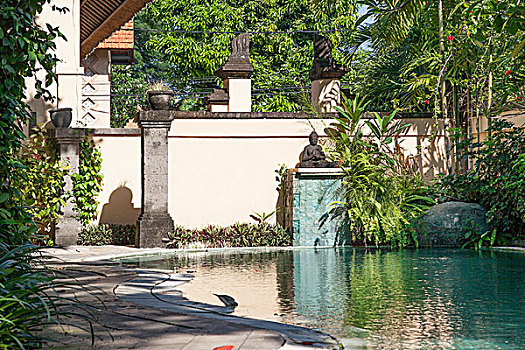 巴厘岛,游泳池