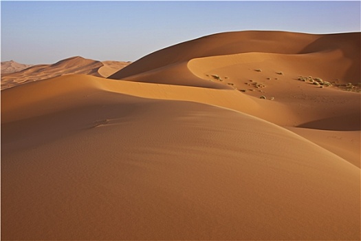 沙丘,撒哈拉沙漠