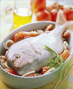 鲷鱼,西红柿,洋葱