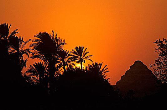 埃及,古老王国,日落,塞加拉
