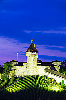 欧洲,瑞士,沙夫豪森,城堡,16世纪,要塞