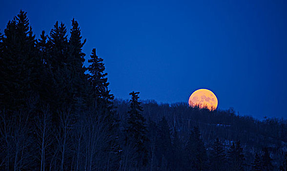 满月,曼尼托巴,加拿大