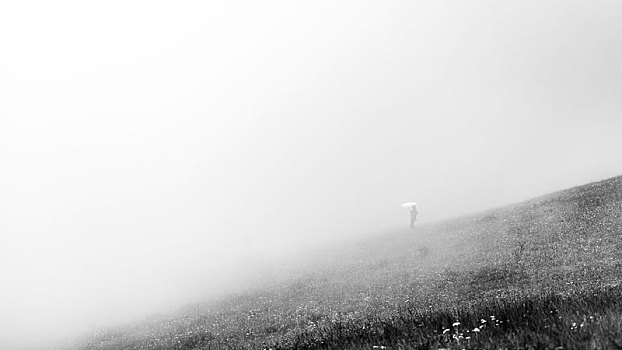 在雾中,在山中,独想独享,大山包