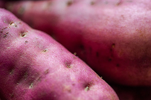 人类很重要的主食之一,蕃薯,也叫地瓜