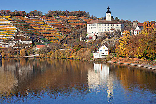 城堡,内卡河,巴登符腾堡,德国,欧洲