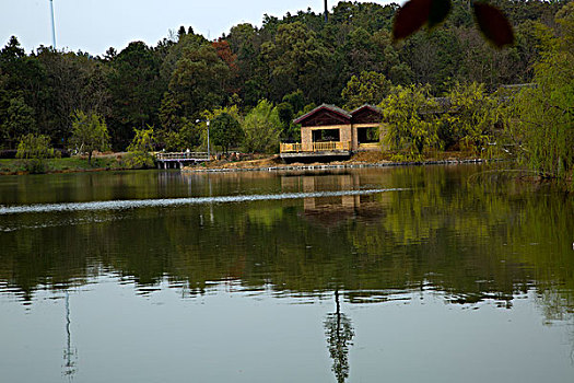 湖边小屋