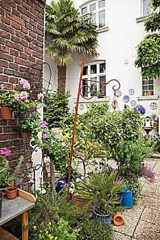 院落,盆栽,棕榈树,砖墙,白色,背景