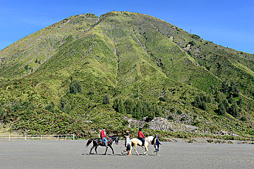 旅游,本地人,马,婆罗摩火山,国家公园,火山口,东方,爪哇,爪哇岛,印度尼西亚,东南亚