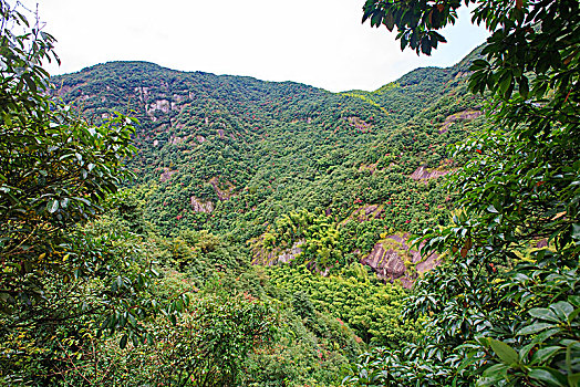 海曙,龙观,中坡山森林公园,古村,溪流,山水