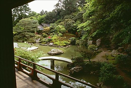 水塘,花园,庙宇,京都,日本