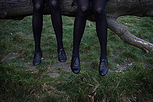 两个,女孩,腿,黑色,长袜,鞋,悬着,树,枝条