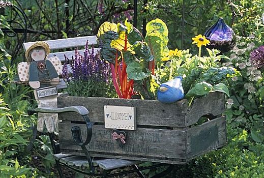 木盒,蔬菜,植物,花园,座椅