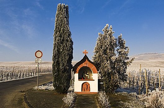 小教堂,葡萄园,冬天,德国