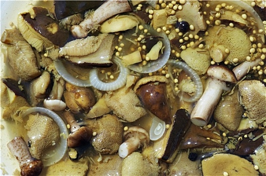 腌制,蘑菇