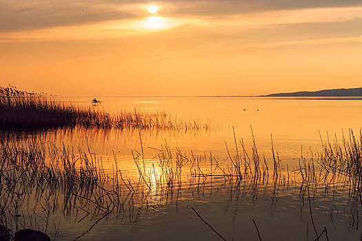 漂亮,日落,巴拉顿湖