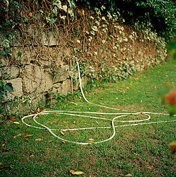 软管,花园,卧,草,看,蛇,加利西亚,西班牙