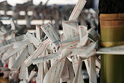 特写,财富,系,一起,新宿,公园,神祠,日本