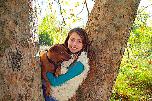 小女孩,狗,树林,树