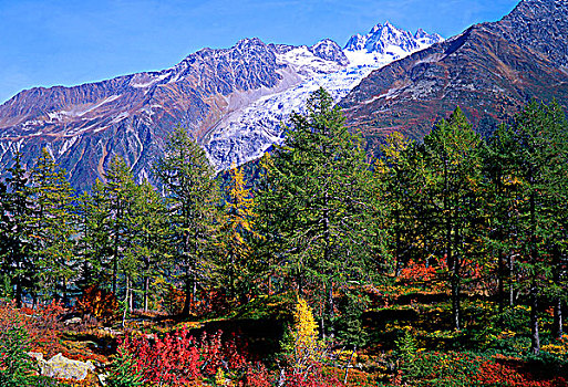 法国,上萨瓦,勃朗峰,风景,秋天